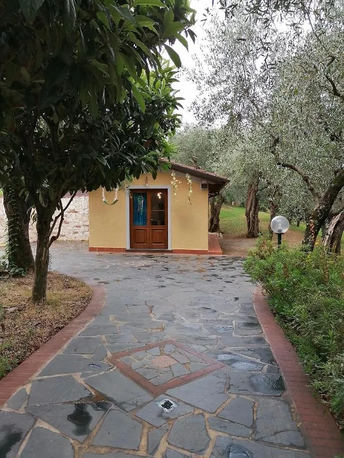 Casina Versilia Pietrasanta Appartamento