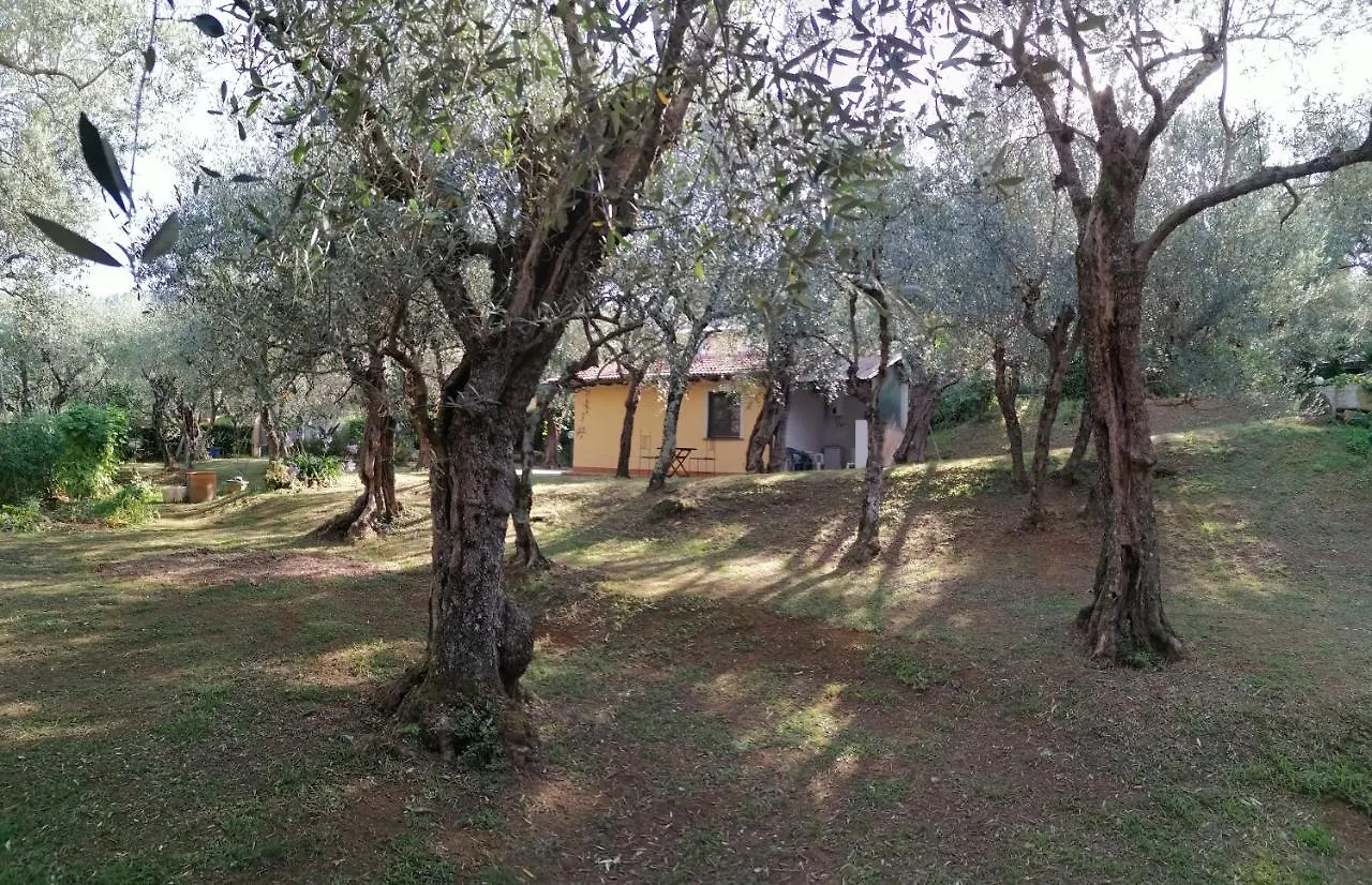 Appartamento Casina Versilia Pietrasanta Italia