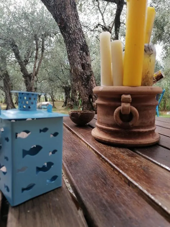 Casina Versilia Pietrasanta Italia