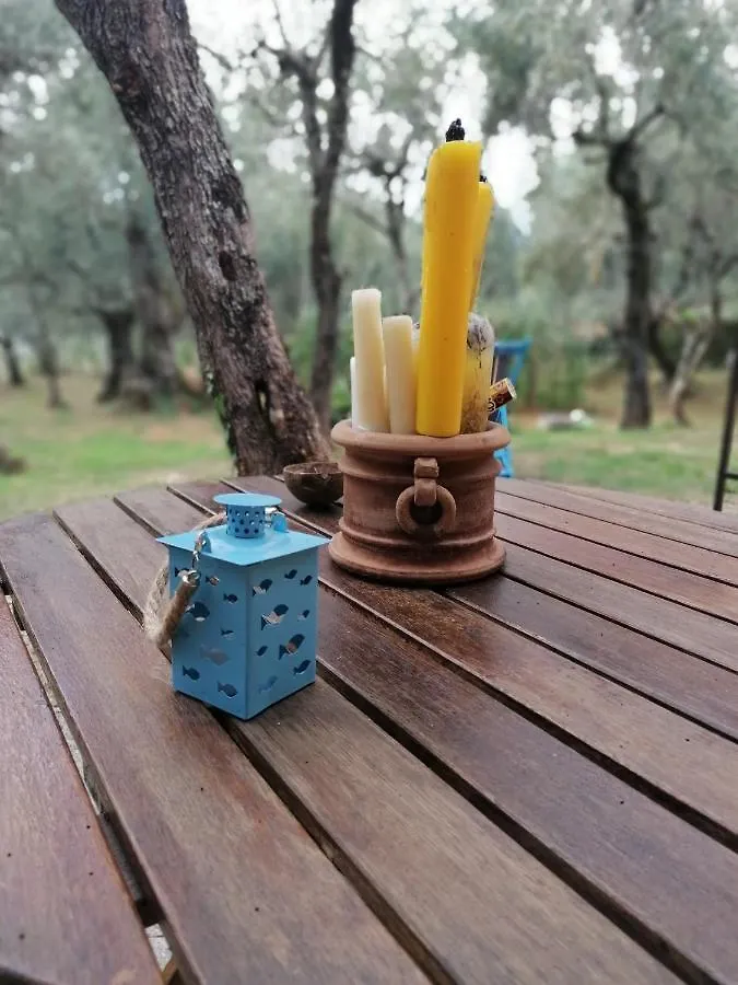 Casina Versilia Pietrasanta Appartamento