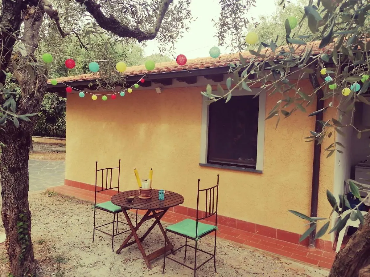 Casina Versilia Pietrasanta Italia