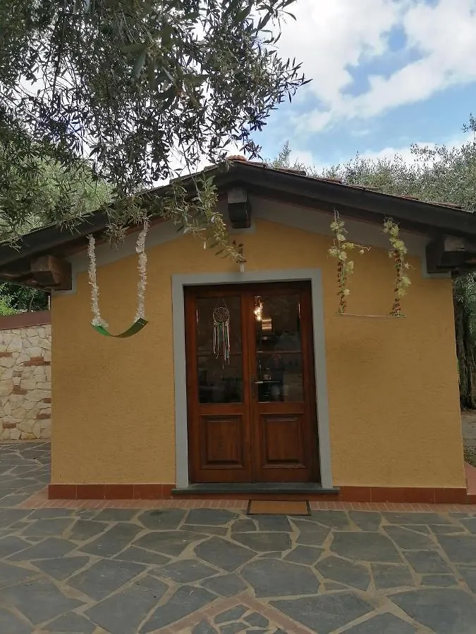 Appartamento Casina Versilia Pietrasanta